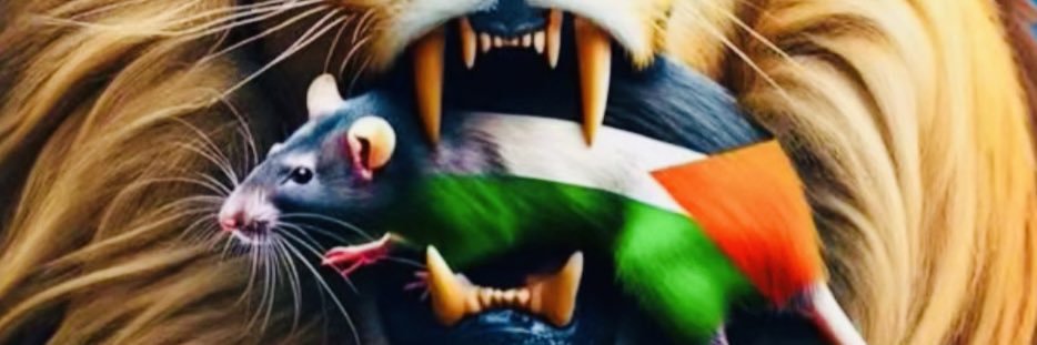 ימין על מלא 🫥 banner