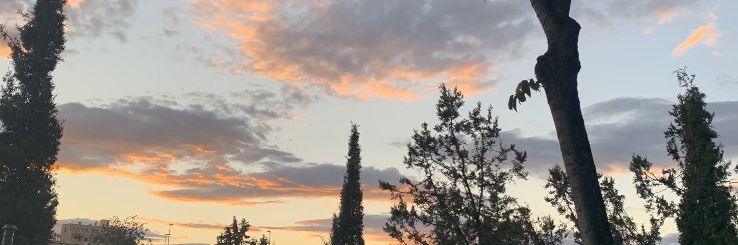 paula 🇮🇨 banner