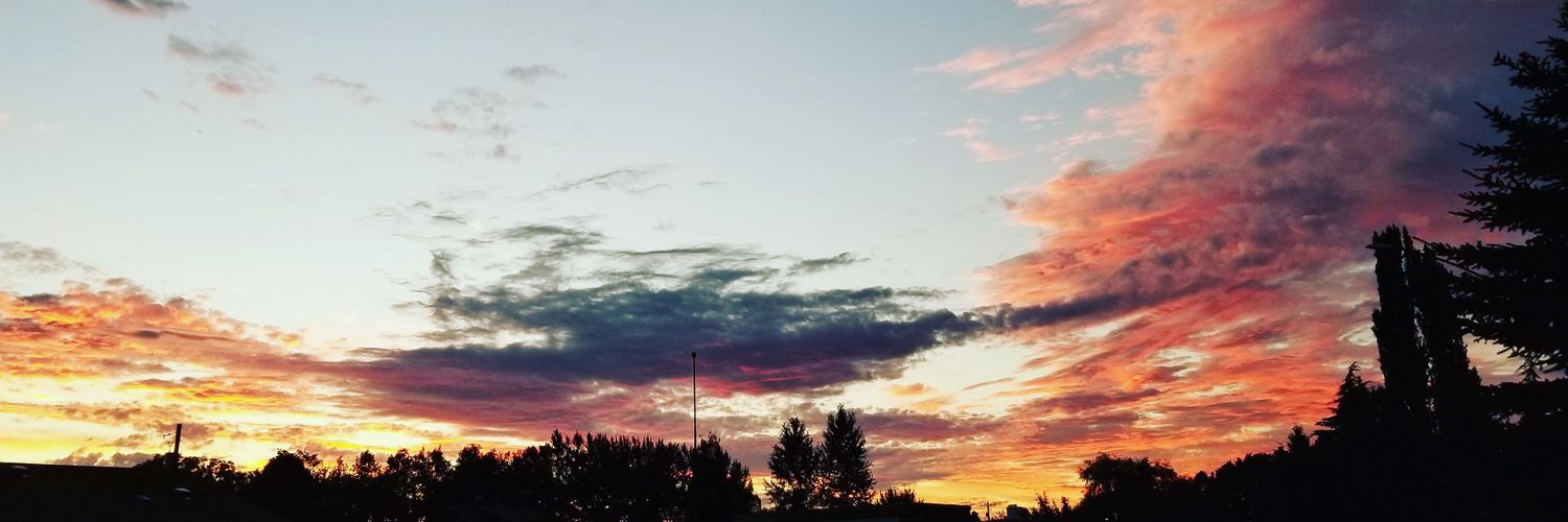 chasinbees9's profile banner image