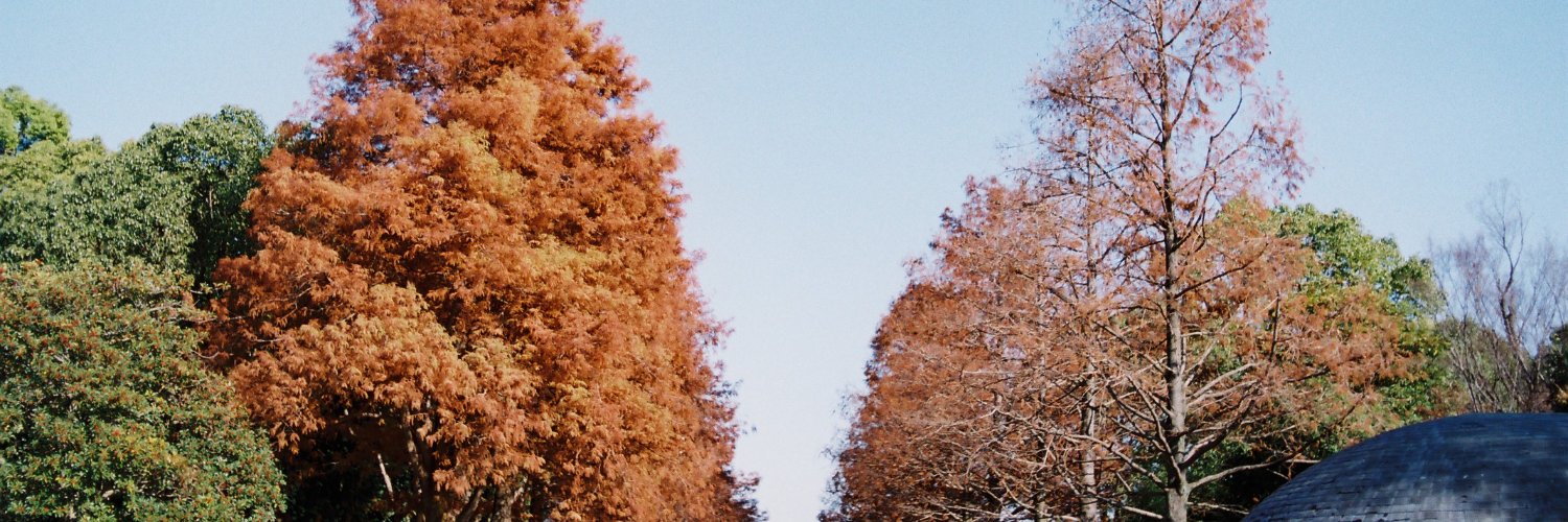きくち banner