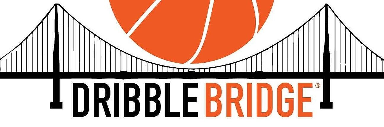 DribbleBridge's profile banner image