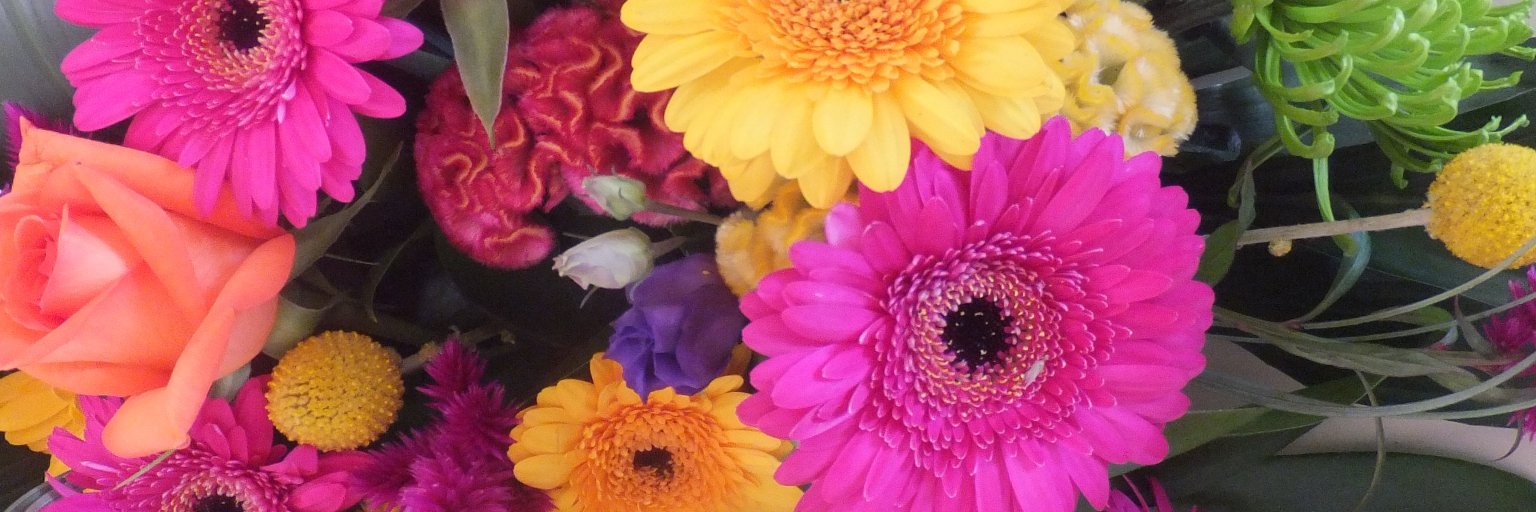 Rachel Abbott banner