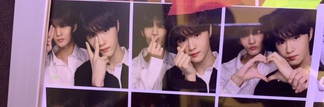 ㅈㅌ🐾 (closed) banner