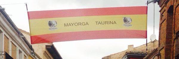 AstamaMayorga's profile banner image