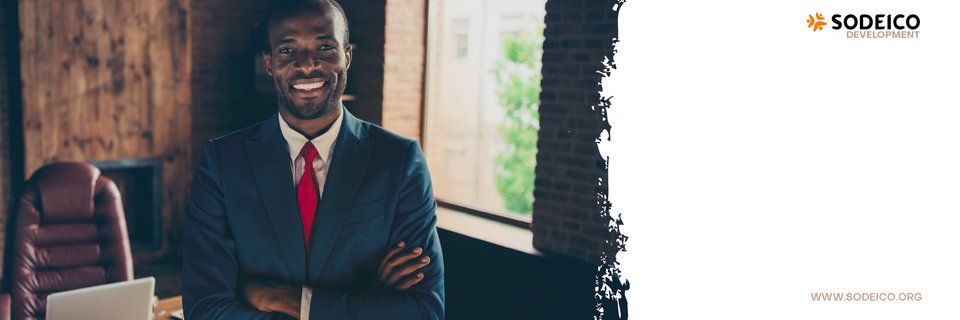 Sodeico Development banner