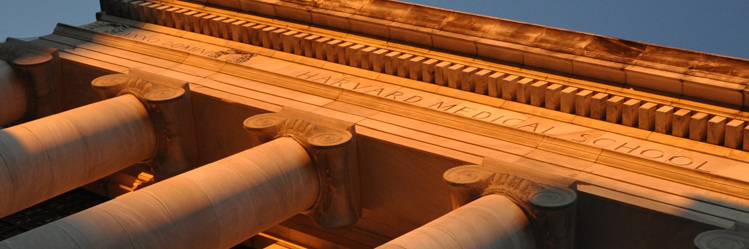 Curriculum Fellows banner