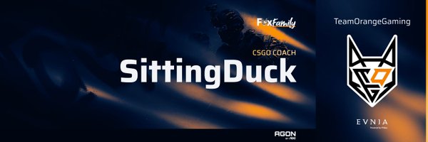 SittingDuck_ Profile Banner