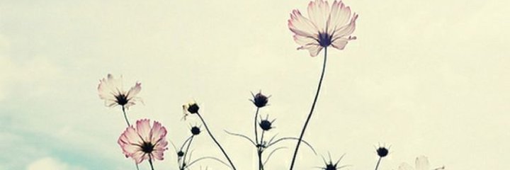 mirigonzalezgro's profile banner image