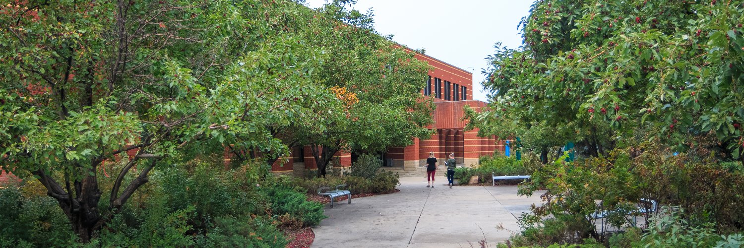 Triffo School of Business banner