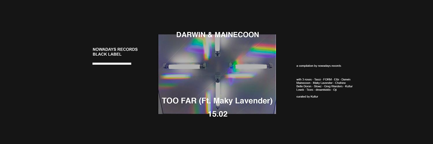 Mainecoonmusic banner