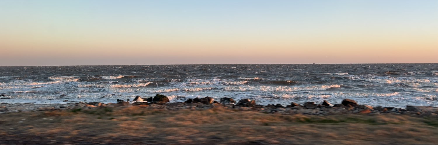 _anatellez_'s profile banner image