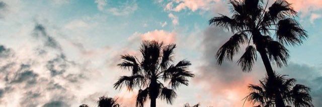haleyydeskinss's profile banner image