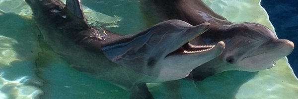 WinterHopeUK Profile Banner