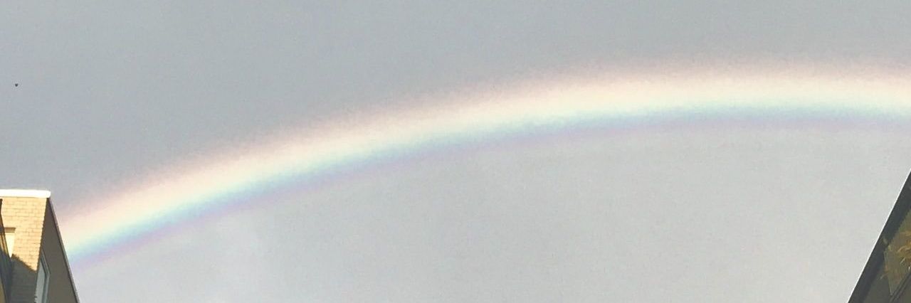 Momamino's profile banner image