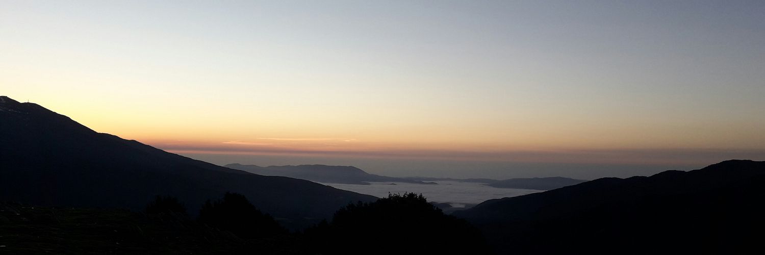 DêNit 🦎📚 @toten_cat 💻toten.cat banner