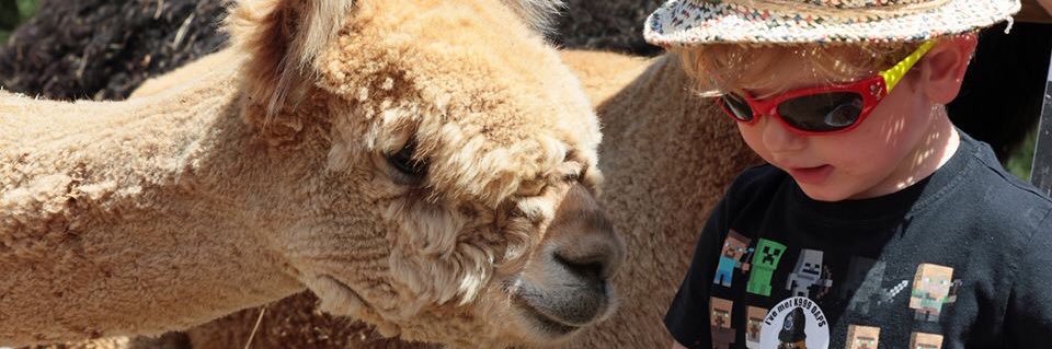 AnimalsRMagic2's profile banner image