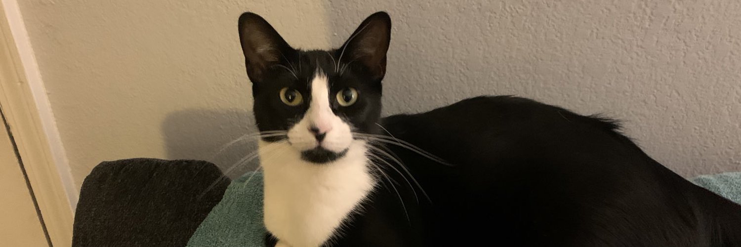 Kris Hyatt (krislhyatt) / Twitter