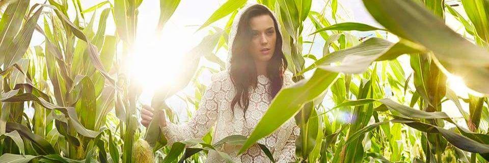 YaeniF's profile banner image