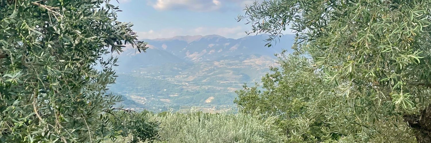Isabel☀️🎶🤙🏼🧡 banner