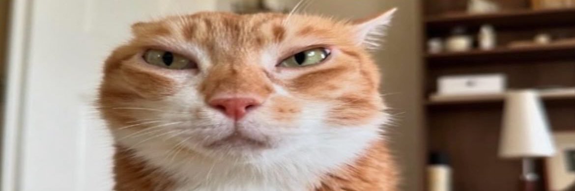 rob heart emoji x8 banner