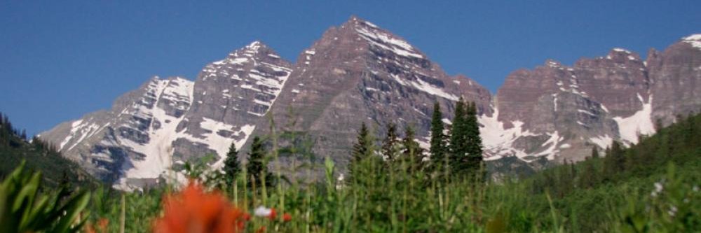 Stacey Warren banner