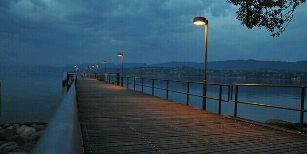 Fabi Camacho Domecq banner