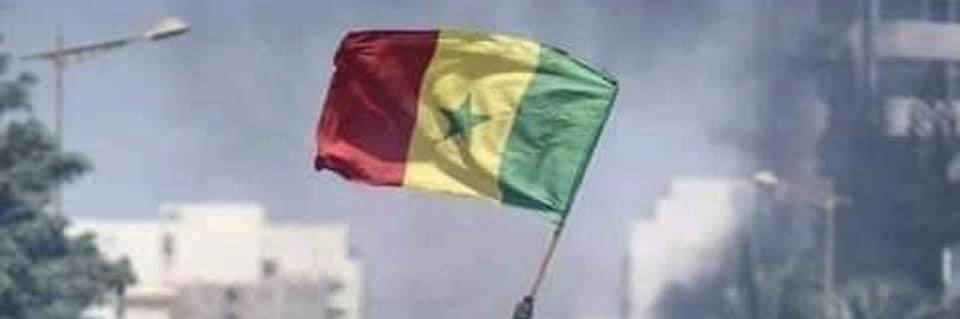 🇸🇳Assane Zana banner