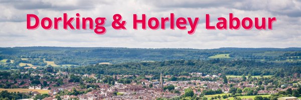 Dorking and Horley Labour Profile Banner