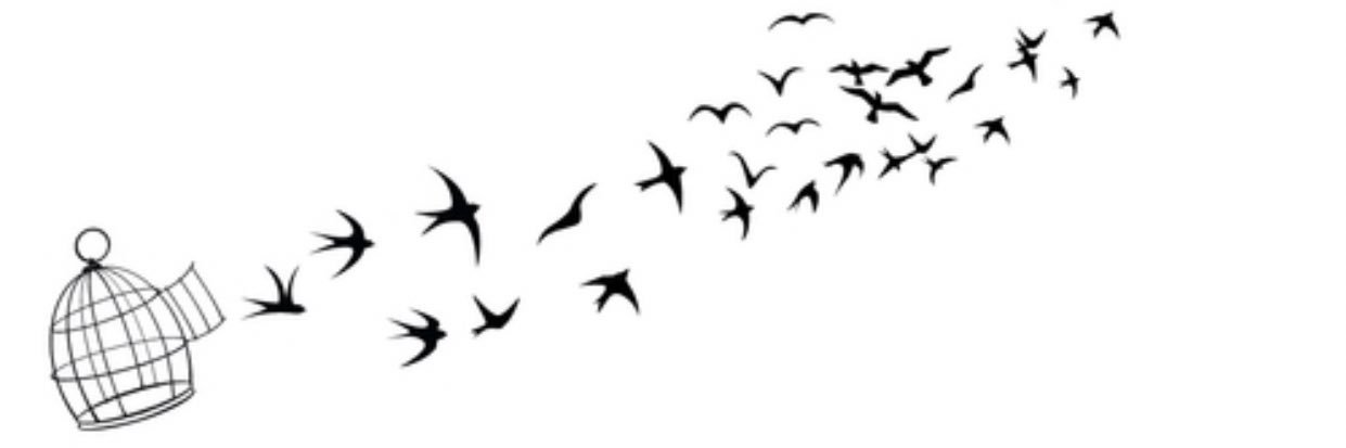 Nancy_saeedd's profile banner image