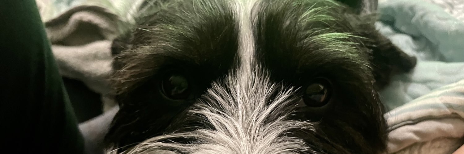 EvoniLeal's profile banner image