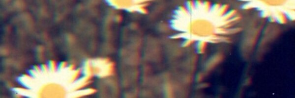 MisNoma104 Profile Banner