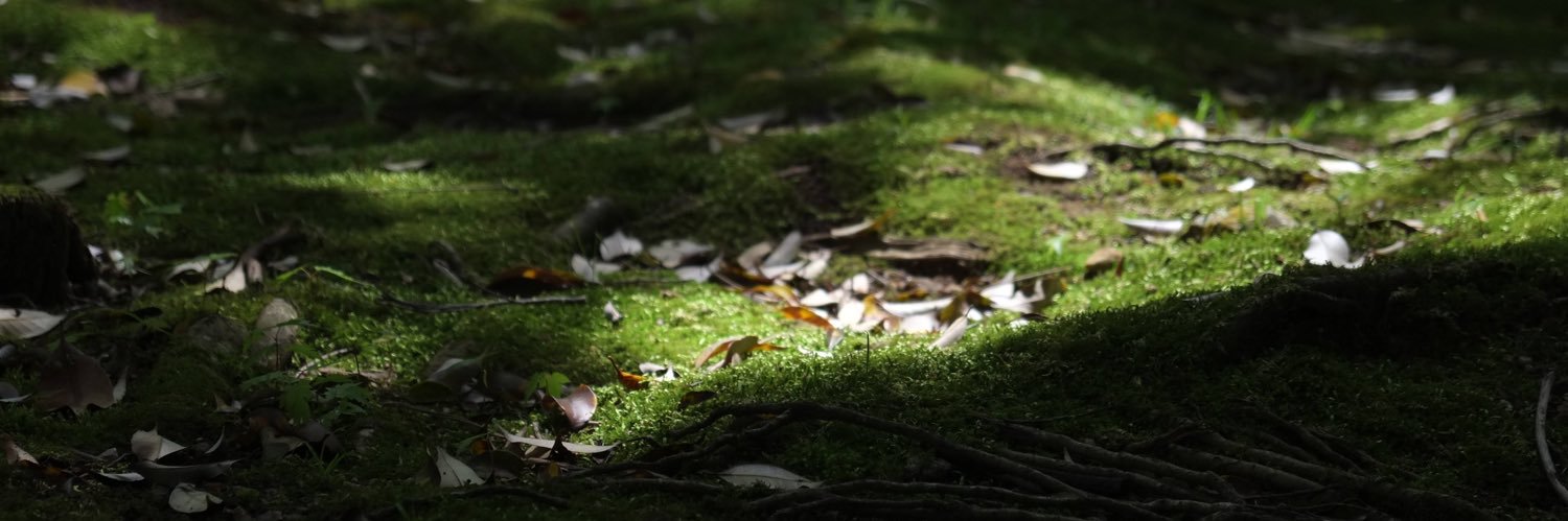 147 banner