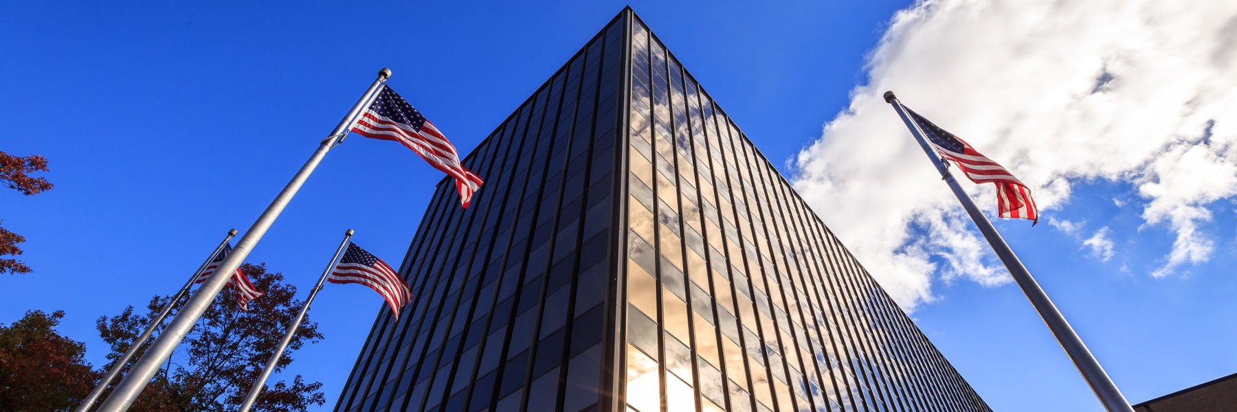 Vision Real Estate banner