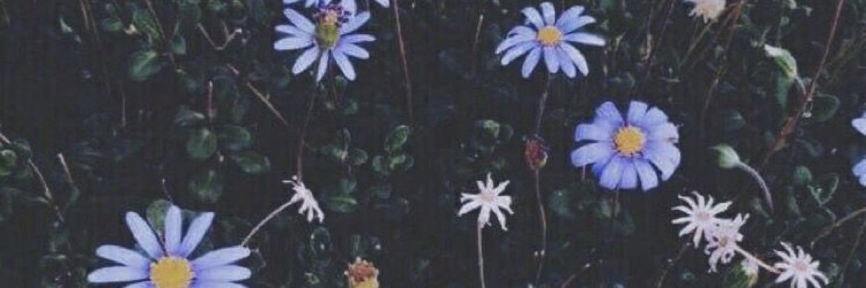 _destinyashley's profile banner image