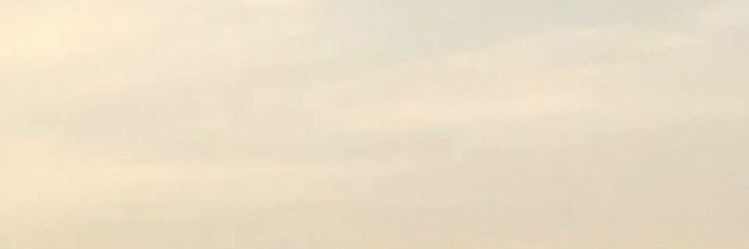Taniahalley's profile banner image