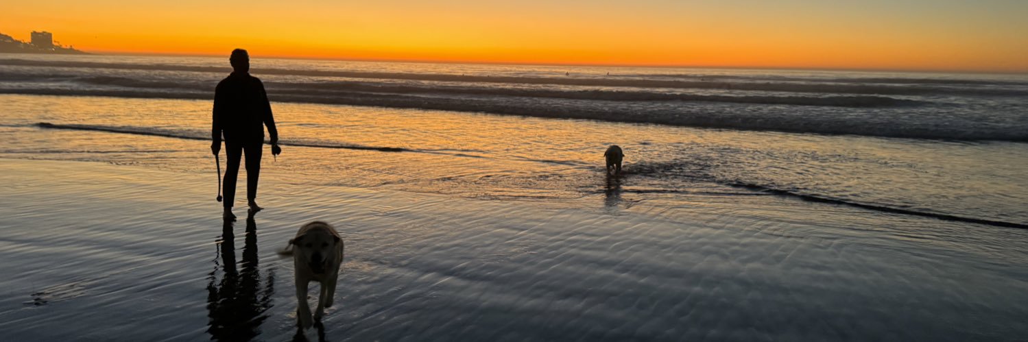 karen phelps moyer banner