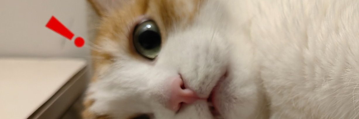 allfkeer's profile banner image