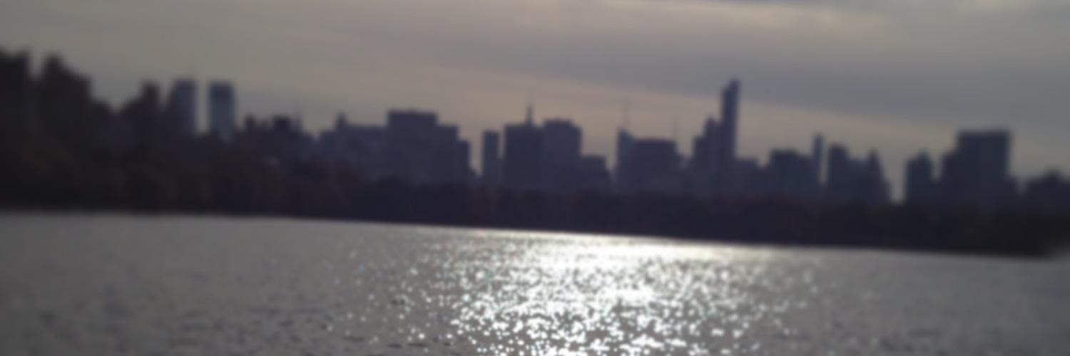 randisliv's profile banner image