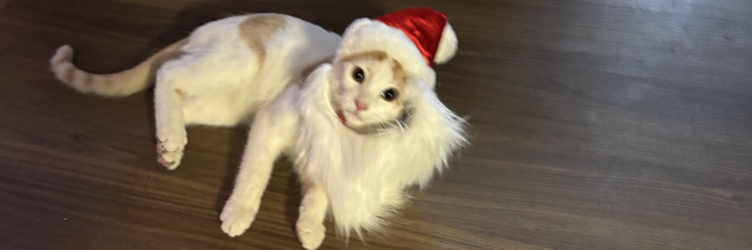 LudusGA's profile banner image