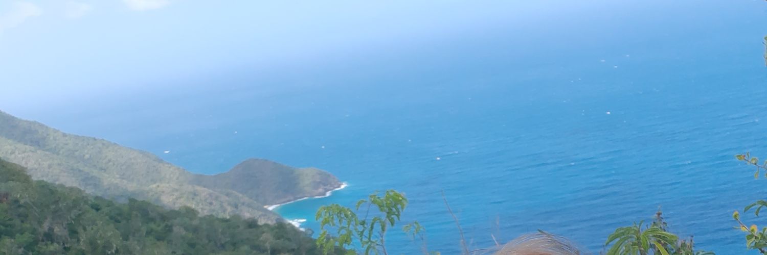 graciegu's profile banner image