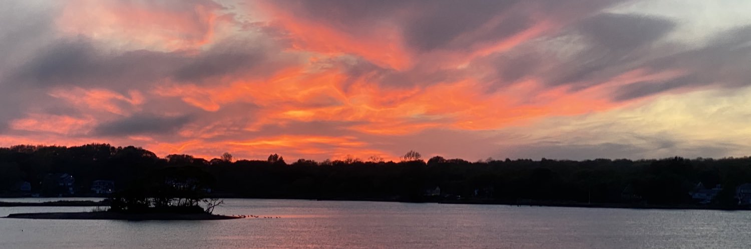 Linda Brown, MD MSCE banner