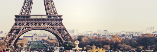 Nathaliajrr's profile banner image