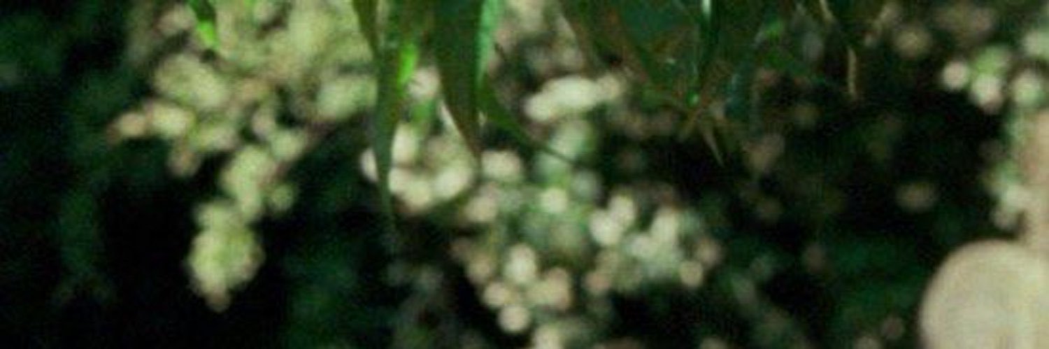 ferndoandr's profile banner image