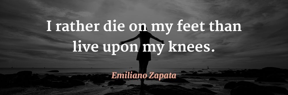 Leasha Knight 🇺🇲🦅#NoKings banner