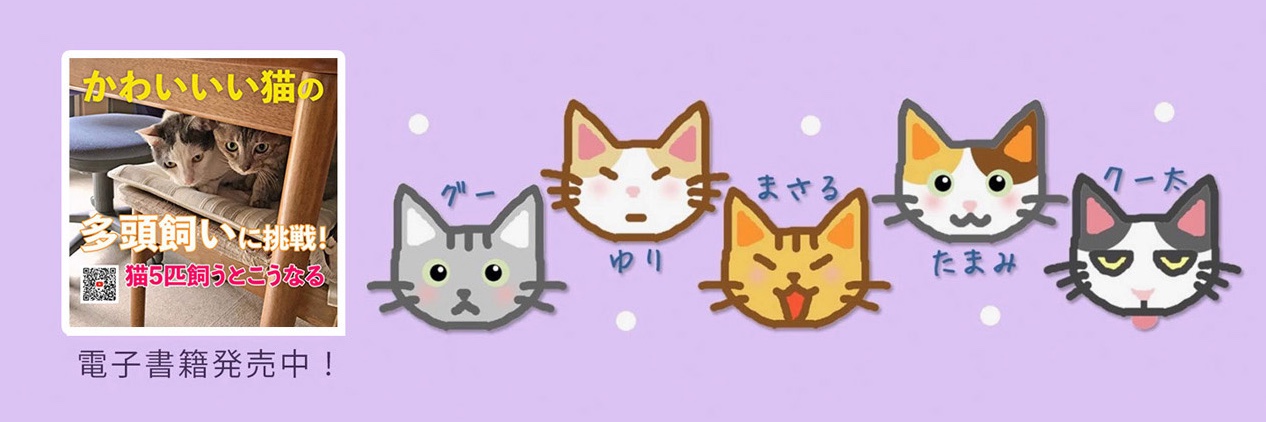 satuki5's profile banner image