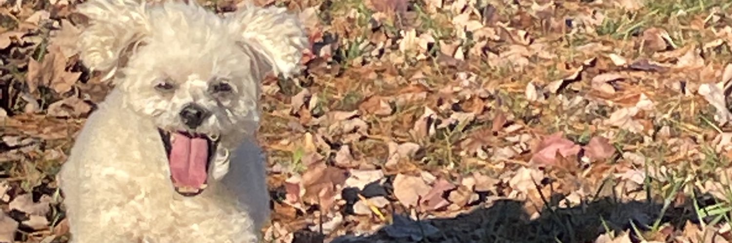 Al67Al's profile banner image