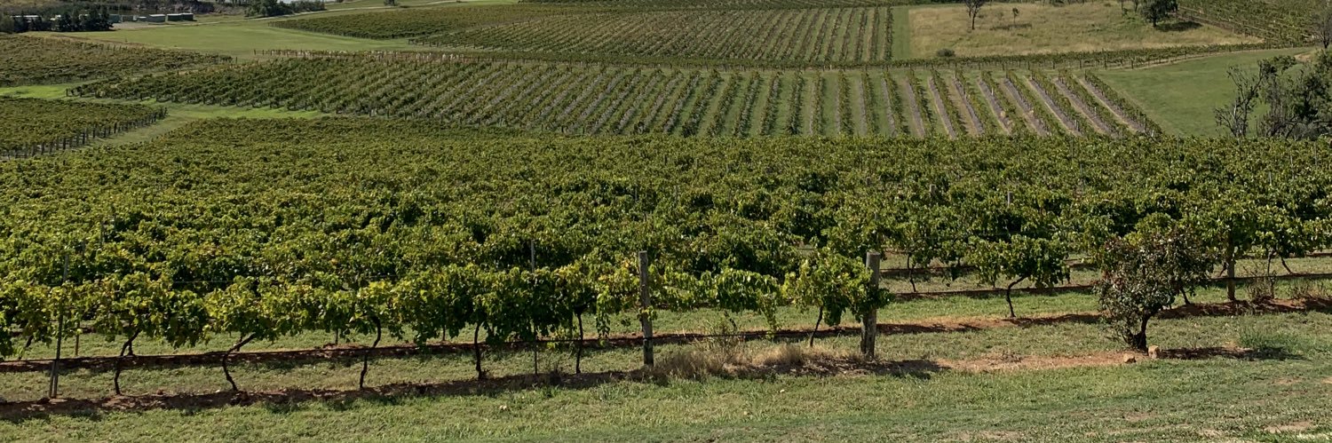 Vidya Narasimhan | Not Just Vegetarian banner