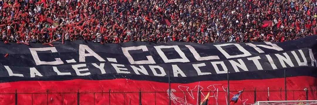 Cotita 🦋 banner