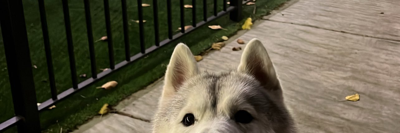 StephMalak's profile banner image