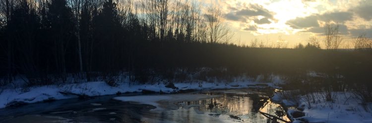 artskoolsux's profile banner image